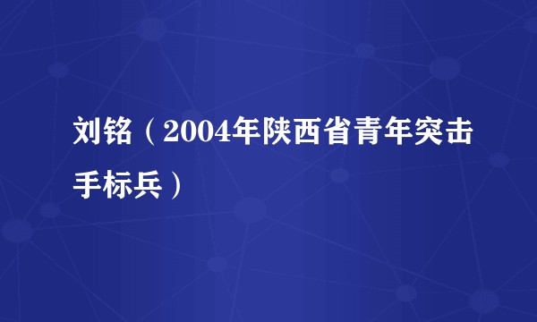 刘铭（2004年陕西省青年突击手标兵）
