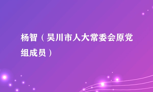 杨智（吴川市人大常委会原党组成员）
