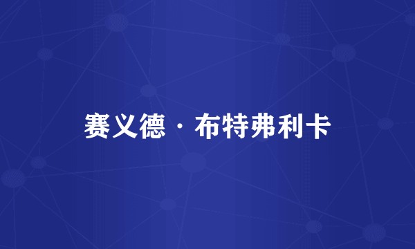 赛义德·布特弗利卡