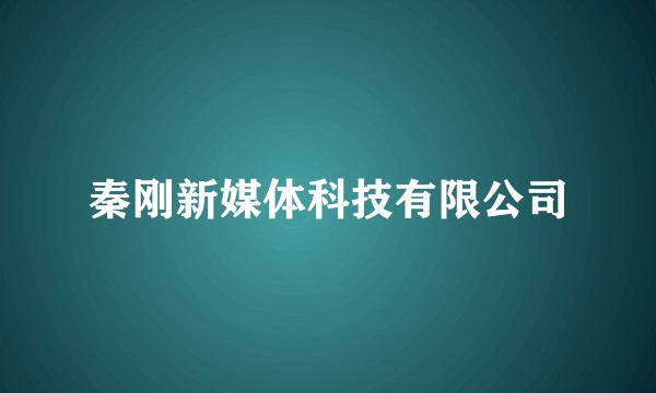 秦刚新媒体科技有限公司