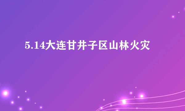 5.14大连甘井子区山林火灾