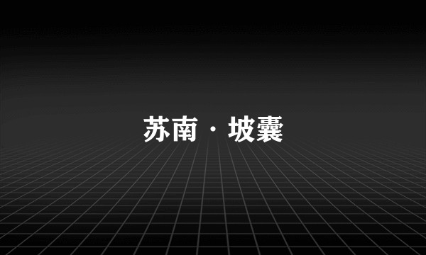 苏南·坡囊