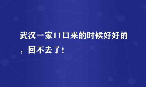 武汉一家11口来的时候好好的，回不去了！