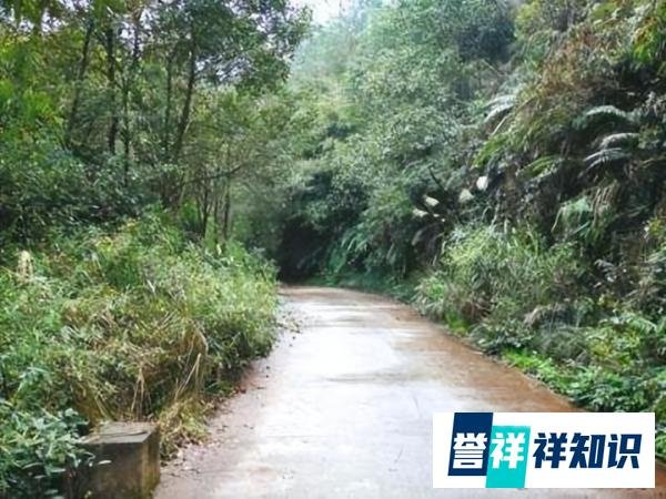 男子捡到戒指丢掉被判赔8千多元，现在后悔了？贪小便宜吃大亏！
