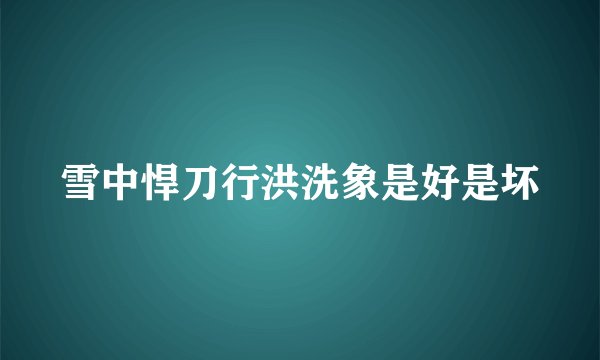 雪中悍刀行洪洗象是好是坏
