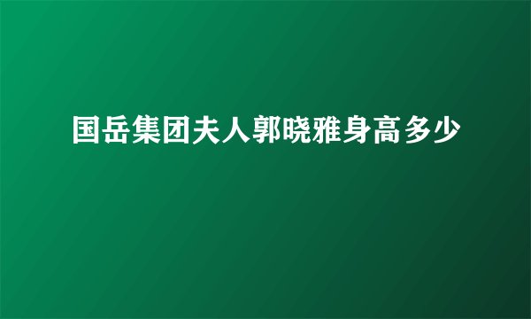 国岳集团夫人郭晓雅身高多少