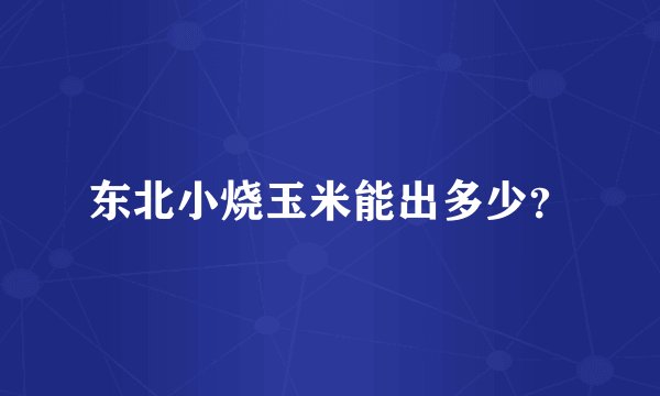 东北小烧玉米能出多少？