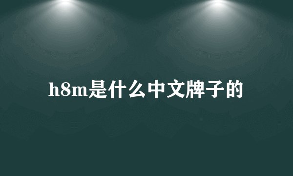h8m是什么中文牌子的