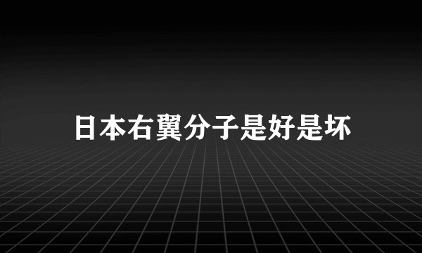 日本右翼分子是好是坏
