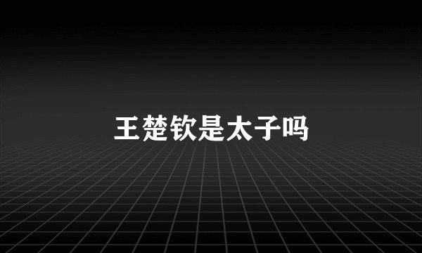 王楚钦是太子吗