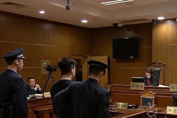 “小莉大哭”刷屏，纪委介入“狗咬老人事件”，此事有何最新进展？