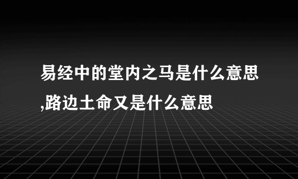 易经中的堂内之马是什么意思,路边土命又是什么意思