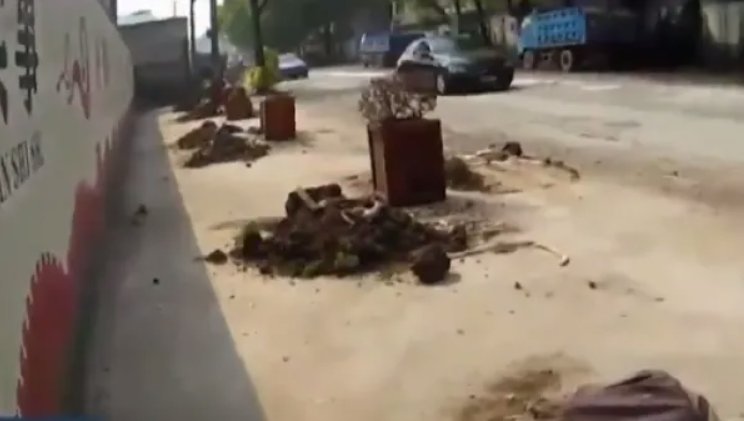 江苏一亿万富翁盗窃绿化木箱给丈母娘种菜，这名富翁需要承担哪些责任？
