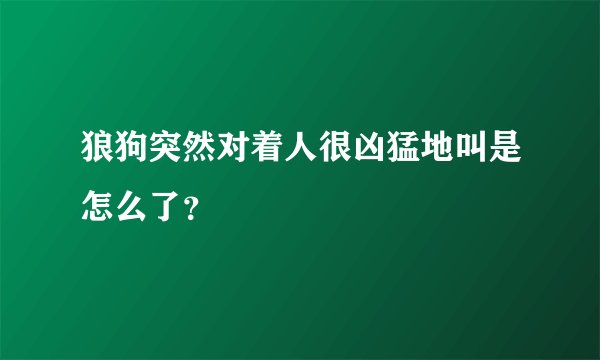 狼狗突然对着人很凶猛地叫是怎么了？