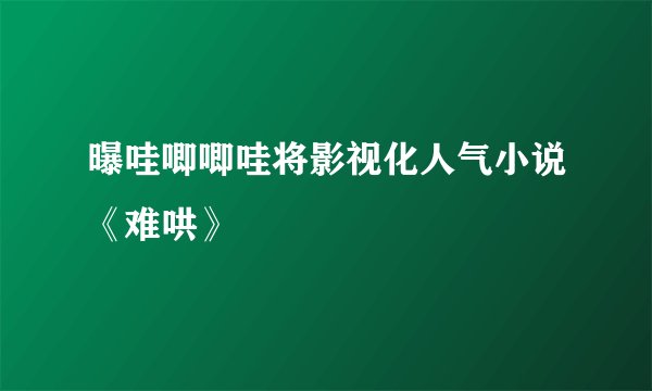 曝哇唧唧哇将影视化人气小说《难哄》