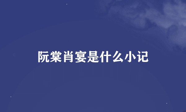 阮棠肖宴是什么小记