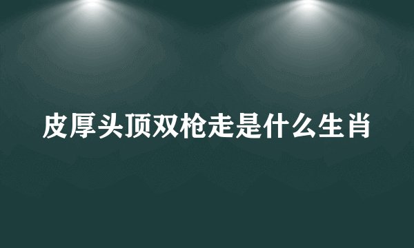 皮厚头顶双枪走是什么生肖