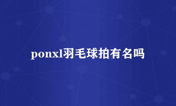 ponxl羽毛球拍有名吗