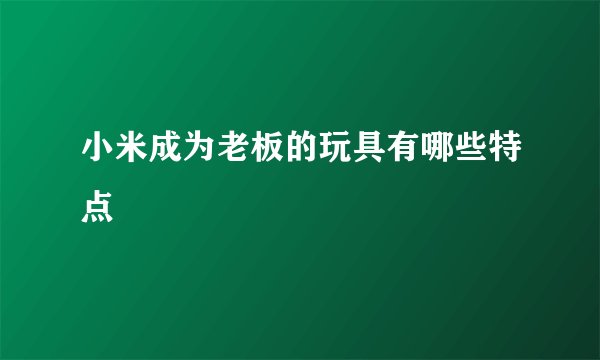 小米成为老板的玩具有哪些特点