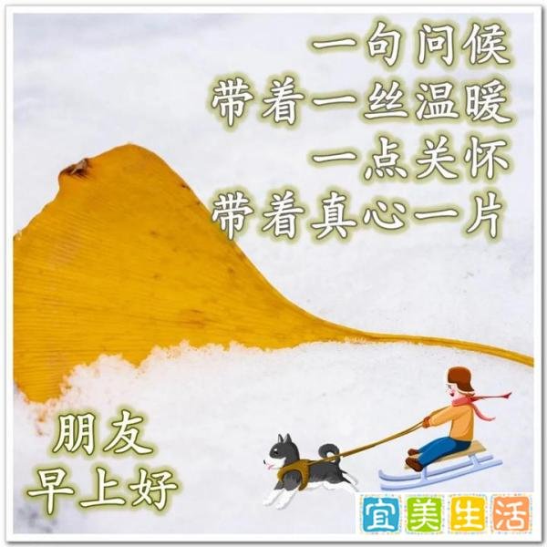 冬天最暖心的早安祝福图片 天冷了祝福朋友的早上好问候