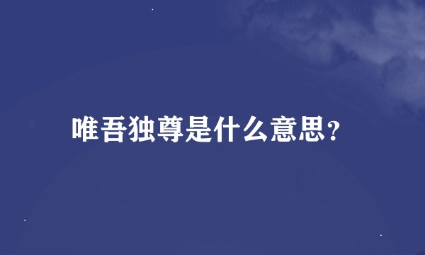 唯吾独尊是什么意思？