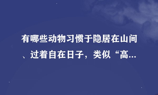有哪些动物习惯于隐居在山间、过着自在日子，类似“高卧东山”的状态？