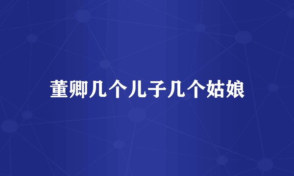 董卿几个儿子几个姑娘