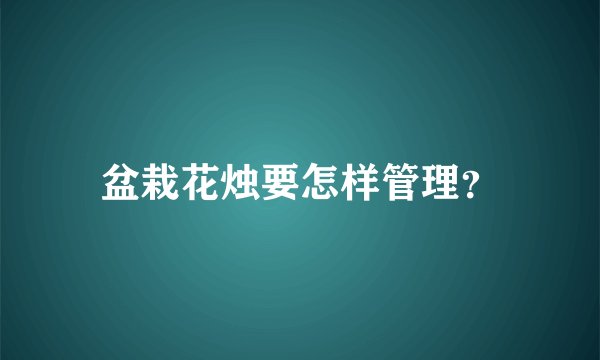 盆栽花烛要怎样管理？