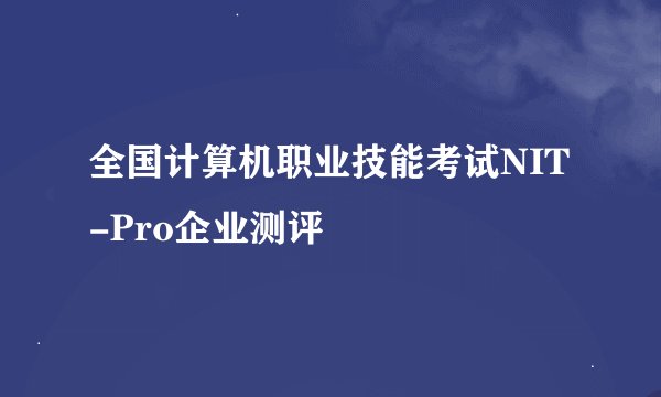 全国计算机职业技能考试NIT-Pro企业测评