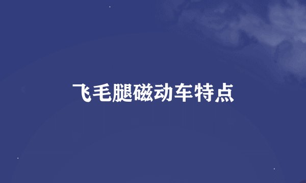 飞毛腿磁动车特点