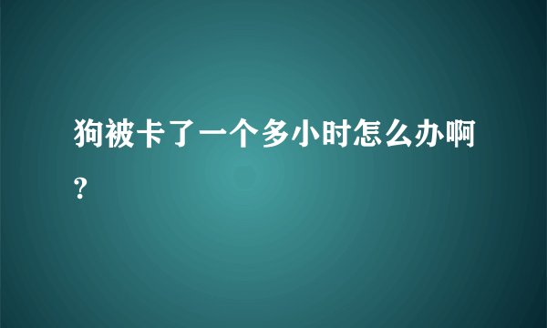 狗被卡了一个多小时怎么办啊?
