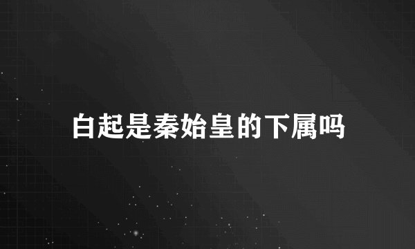 白起是秦始皇的下属吗