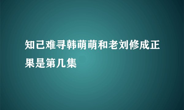 知己难寻韩萌萌和老刘修成正果是第几集