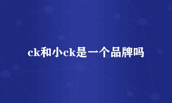 ck和小ck是一个品牌吗