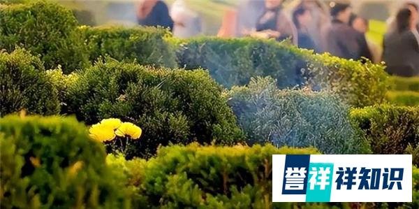 俗语：闰二月不能上坟吗？不要被误导，把地方习俗当作普遍习俗