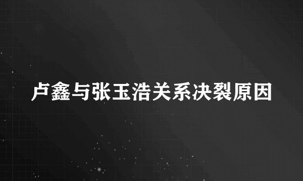 卢鑫与张玉浩关系决裂原因