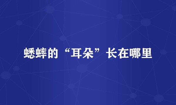 蟋蟀的“耳朵”长在哪里