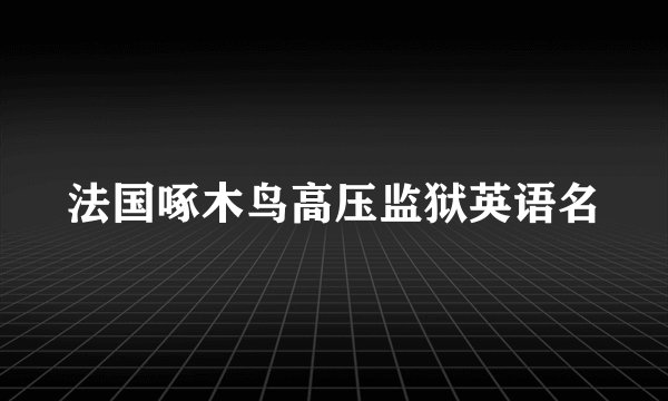 法国啄木鸟高压监狱英语名