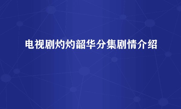 电视剧灼灼韶华分集剧情介绍