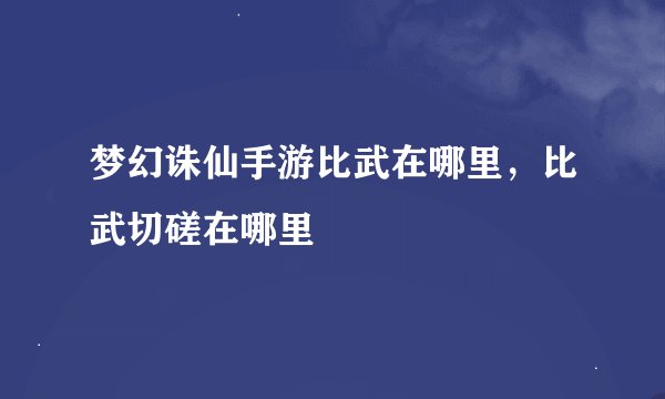 梦幻诛仙手游比武在哪里，比武切磋在哪里