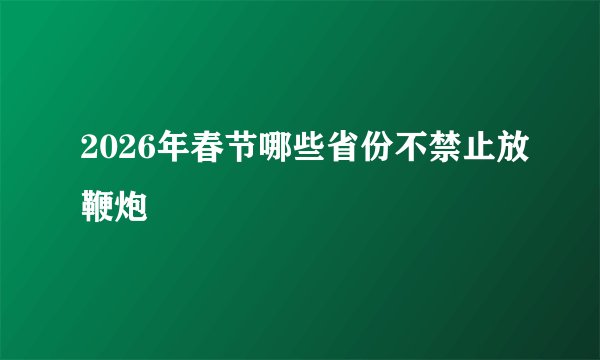 2026年春节哪些省份不禁止放鞭炮