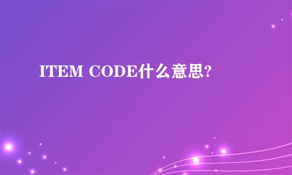 ITEM CODE什么意思?