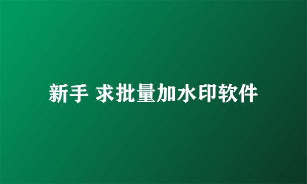 新手 求批量加水印软件