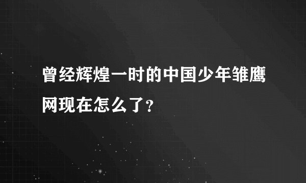 曾经辉煌一时的中国少年雏鹰网现在怎么了？