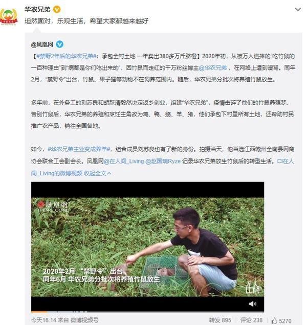 如何看待禁野 2 年后的华农兄弟承包全村土地，一年卖出 380 多万斤脐橙？