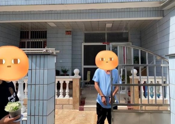 大无语！上海宝山一盆市价10万多肉被偷，偷盗者会被如何处罚？
