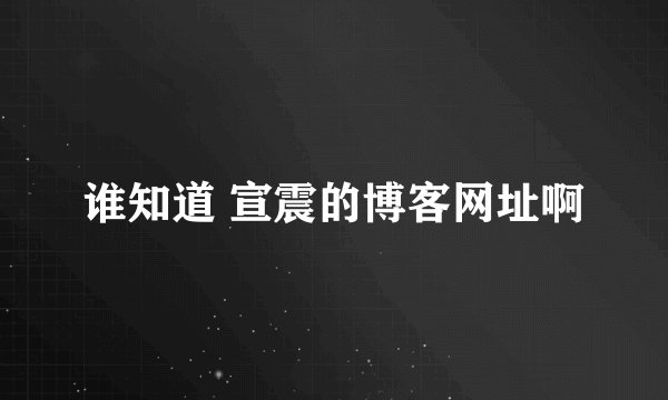 谁知道 宣震的博客网址啊