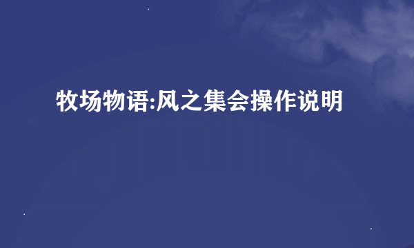牧场物语:风之集会操作说明