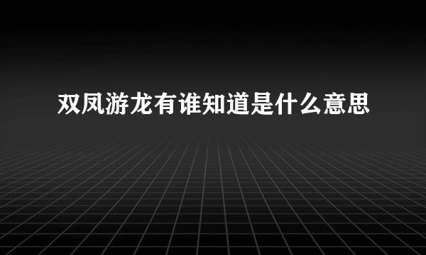 双凤游龙有谁知道是什么意思