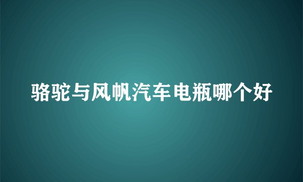 骆驼与风帆汽车电瓶哪个好